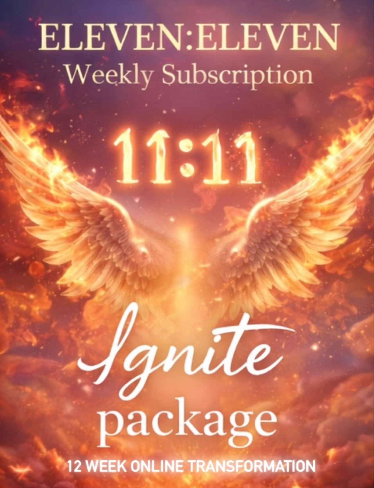 IGNITE — Transformation & Power -Online Coaching
